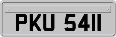 PKU5411