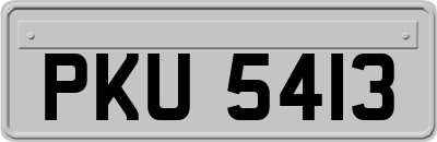 PKU5413