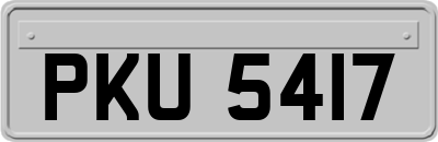 PKU5417