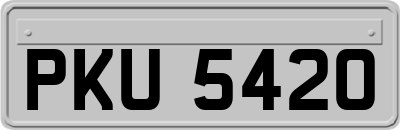 PKU5420
