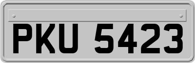 PKU5423