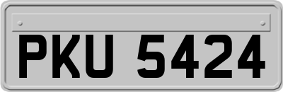 PKU5424