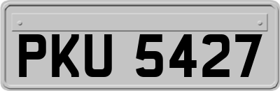PKU5427