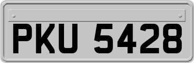 PKU5428