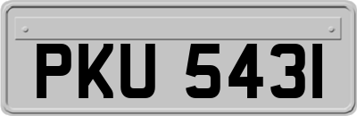 PKU5431