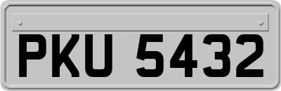PKU5432