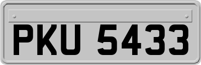 PKU5433