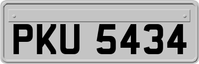 PKU5434