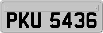 PKU5436