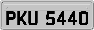 PKU5440