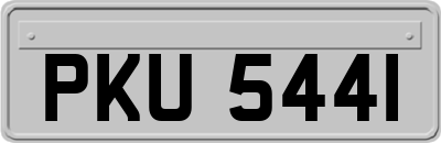 PKU5441