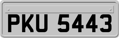 PKU5443