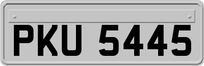 PKU5445