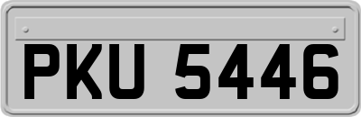 PKU5446