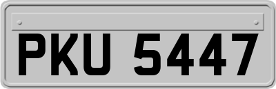 PKU5447