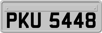 PKU5448