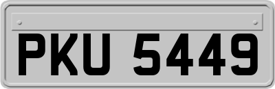 PKU5449
