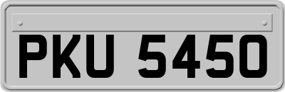 PKU5450