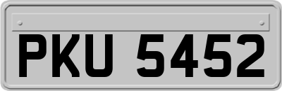 PKU5452