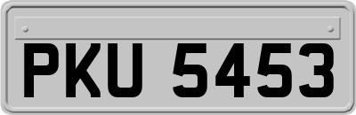PKU5453
