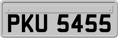 PKU5455