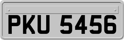PKU5456