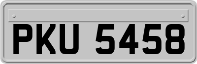PKU5458
