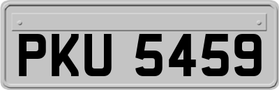 PKU5459