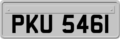 PKU5461