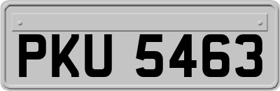 PKU5463