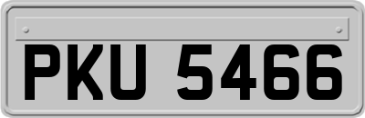 PKU5466