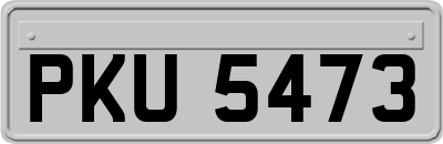 PKU5473