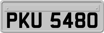 PKU5480