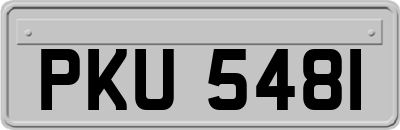 PKU5481