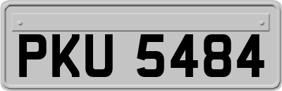 PKU5484