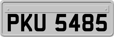 PKU5485