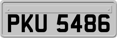 PKU5486