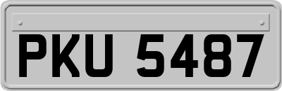 PKU5487