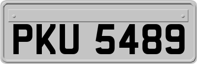 PKU5489