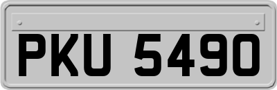 PKU5490