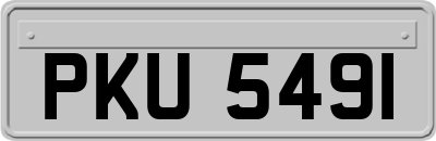 PKU5491