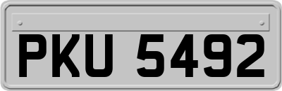 PKU5492