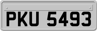 PKU5493