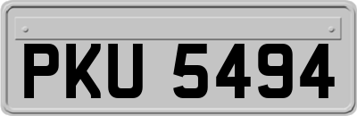 PKU5494