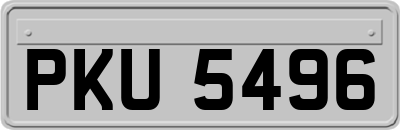 PKU5496