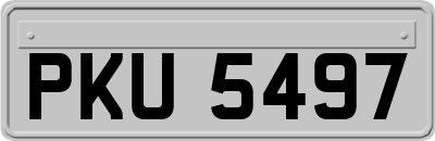 PKU5497