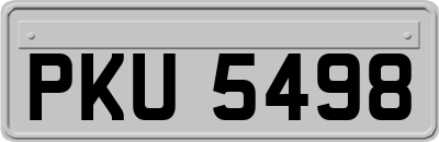 PKU5498