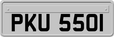 PKU5501