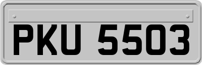 PKU5503