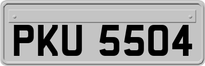 PKU5504
